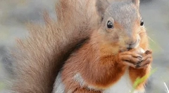 Zaujímavé fakty o proteínoch