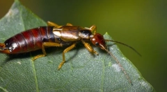 Zaujímavé fakty o obyvateľoch