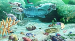 Evolúcia voľne žijúcich živočíchov