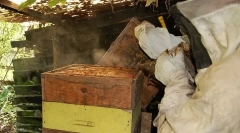 Ako je usporiadaný úľ?