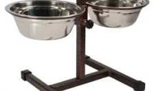 Ako sa správať so psom, ktorý z úkrytu