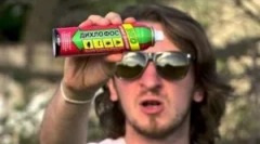 Ako priniesť domáce blchy v byte