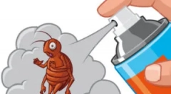 Ako priniesť zemné blchy z domova?