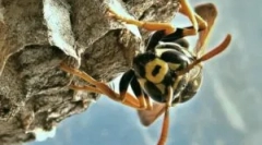 Ako zima a čo jesiatko?