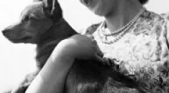 Aké plemeno psa v anglickej kráľovnej