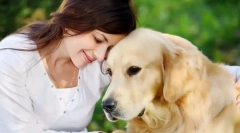 Aké plemená psov sa zmestia do rôznych znamení zverokruhu