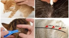 Kvapky na kohútik z červov pre mačky