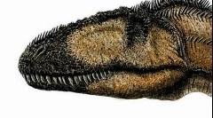 Carcharodontosaur