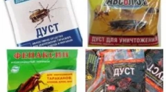 Čínske nástroje z švábov