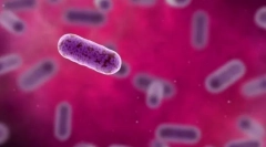 Klietka - genetická jednotka života