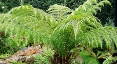 Keď zvieratá išli do pôdy?