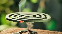 Komáre na záhradnom pozemku a v záhrade