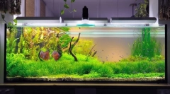 Kompresor pre akvárium s vlastnými rukami: pokyny pre krok za krokom