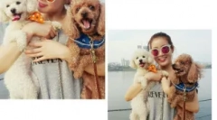 Kórejské prezývky pre psov: zaujímavé možnosti s významom