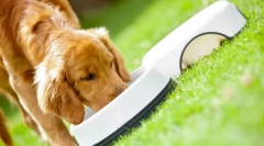 Purina pro plan pes feed: premium class ready