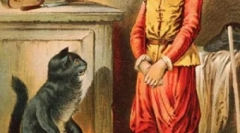 Mačky v literatúre a kine