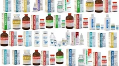 Kryty pre mačky: odporúčania aplikácií