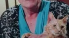 La perm: charakteristiky kučeravých mačiek