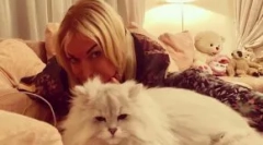 Lakki - obľúbená mačka anastasia volochkova