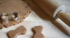 Parehomas pre psov (5 receptov pre každú chuť)