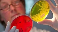 Liečba enterobiózy u detí a dospelých