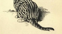 Tvár značky whiskas a ďalšie hviezdy cat reklamy