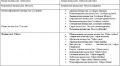 Fox - popis, druh, kde prebýva