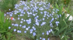 Posteľná bielizeň