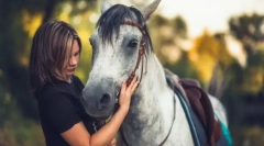 Kone pre voľný čas