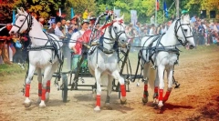 Dovolenka na koni v rôznych krajinách