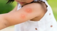 Najlepšie nástroje z komátorov pre deti