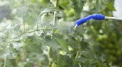 Najlepšie nástroje z tlima na rastlinách