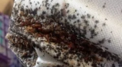 Preventívne opatrenia z plošných látok v byte