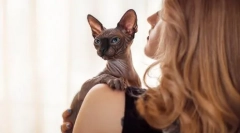 Cutie alebo solené: ako vzhľad mačky na určenie charakteru