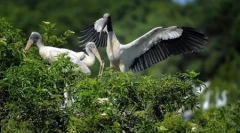 Svet zvierat vo fotografiách (18 ks)