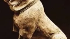 Molossa - kto sú: prehľad plemena pes