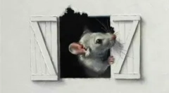 Myši v stenách dreveného a šikmého domu