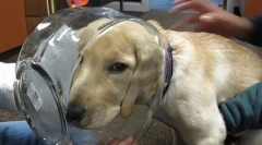 Najčastejšie nehody