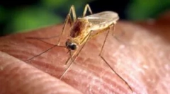 Ľudové opravné prostriedky z komátorov