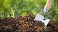 Hmyz škodcov žijúci v zemi