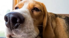 Neurologické ochorenia