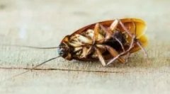 Studená hmla tracker liečba