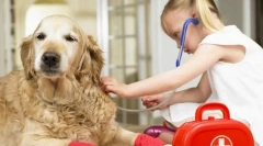 Prvá núdzová situácia