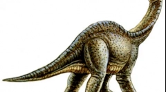 Oddenosaurus