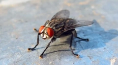 Sú spálne nebezpečné?