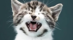 Spodný dolný okraj na cota: príčiny a metódy liečby