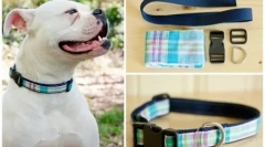 Dog golier s vlastnými rukami: jednoduchá inštrukcia