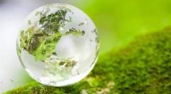 Základné pojmy ekosystému