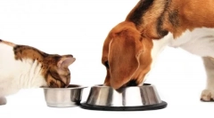 Vlastnosti triedy holistic