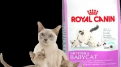 Vlastnosti nutričných mačiek